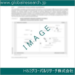 グローバルリサーチ調査資料のイメージ